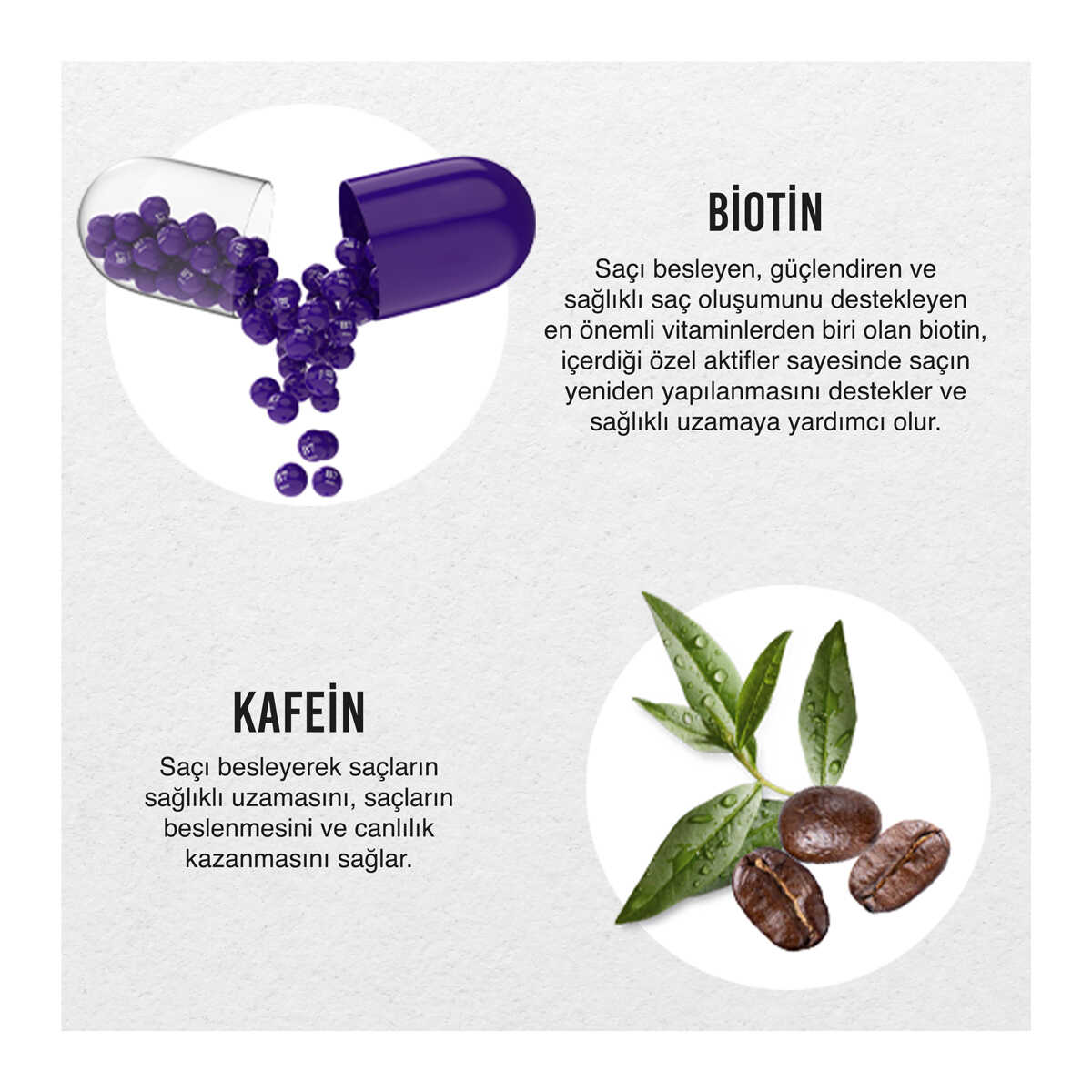Urban Biotin & Caffeine Saç Bakım Şampuanı